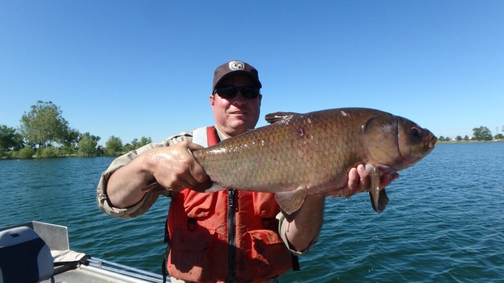 Minnesota DNR Proposes Native Rough Fish Limits