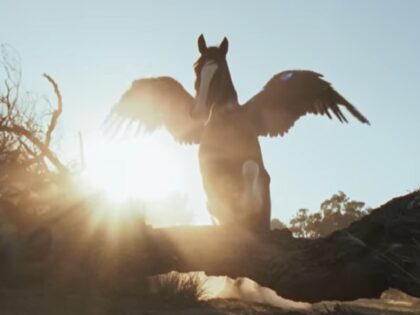 Former Anheuser-Busch Executive: Budweiser Super Bowl Ad a &lsquo;Step in the Right Direction&rsquo; Post-Dylan Mulvaney