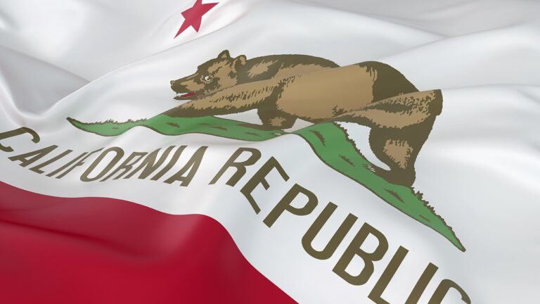 California: Senate Judiciary Hearing Bill to Use Gun Owners as Political Pawns