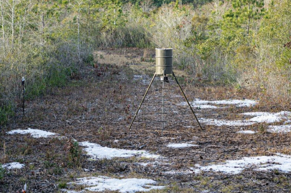 Michigan Lawmakers Move to Roll Back Deer Baiting Ban