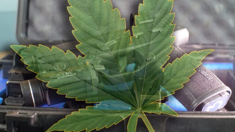 NRA and NORML Team Up Against Federal Gun Ban for Marijuana Users