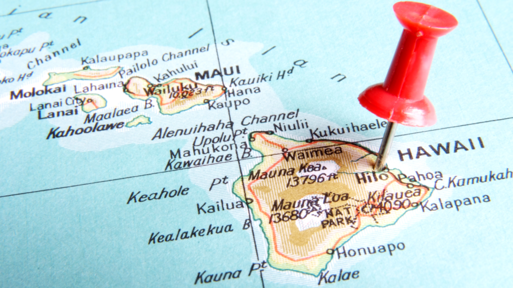 Will the Supreme Court stop Hawaii’s stealth gun ban?