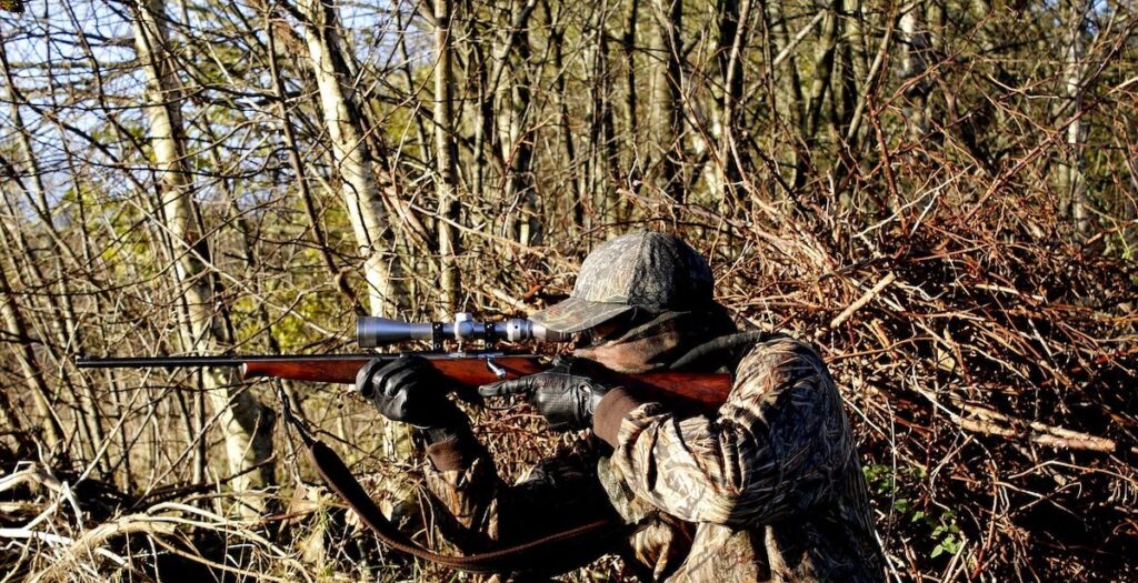 PEACE Act Could Put Oregon Hunting Ban Before Voters