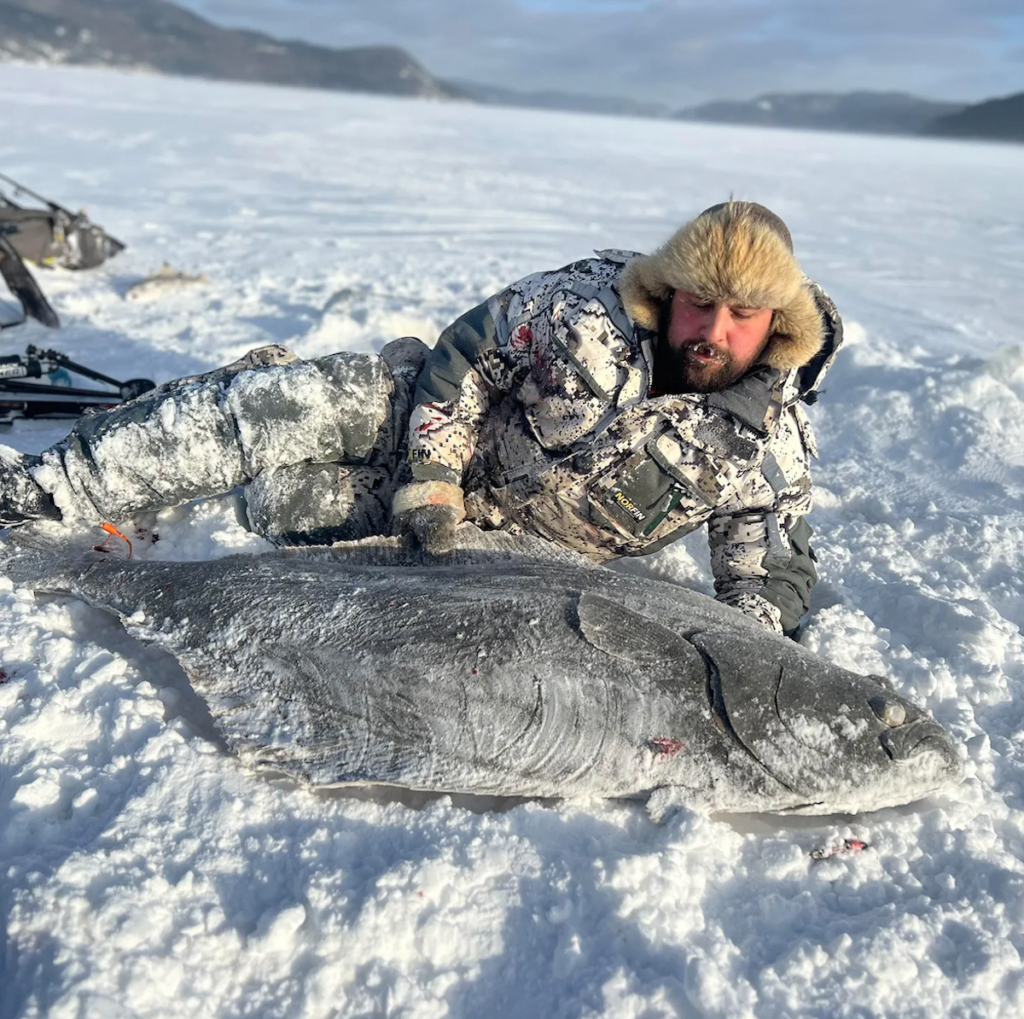 Record Atlantic Halibut Caught Through the Ice in Saguenay Fjord