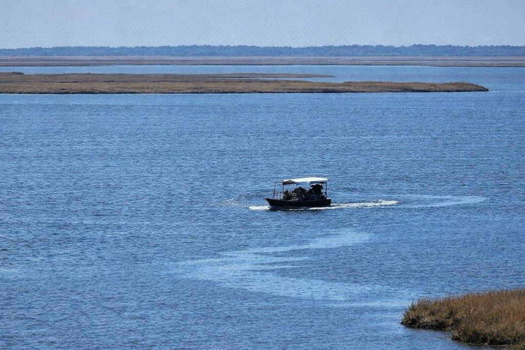 LDWF Uses Drone to Catch Illegal Oyster Harvest
