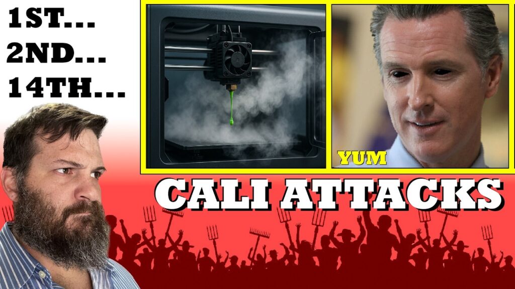 California Attacks the Internet & 3D Printing