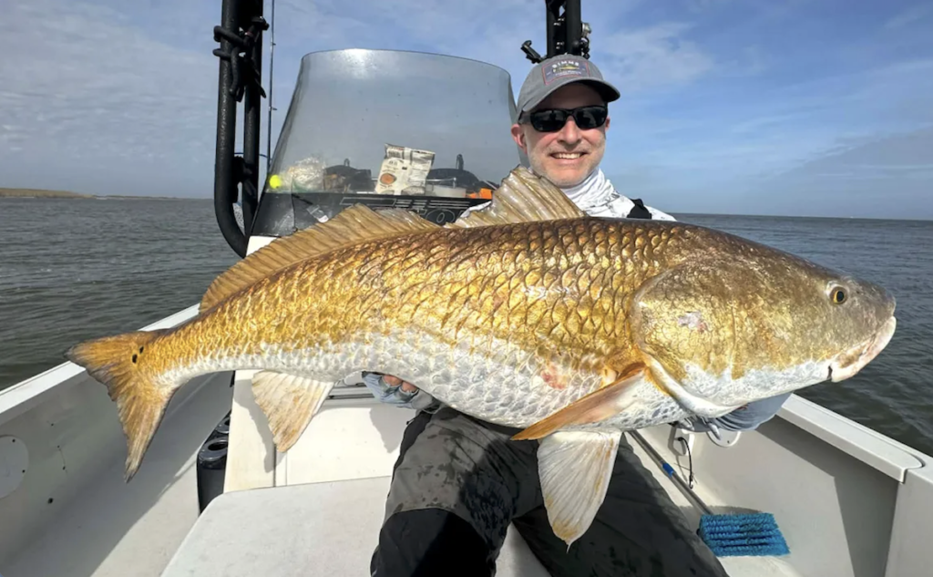 Massive 48-Inch Bull Red Caught, Released Off Venice