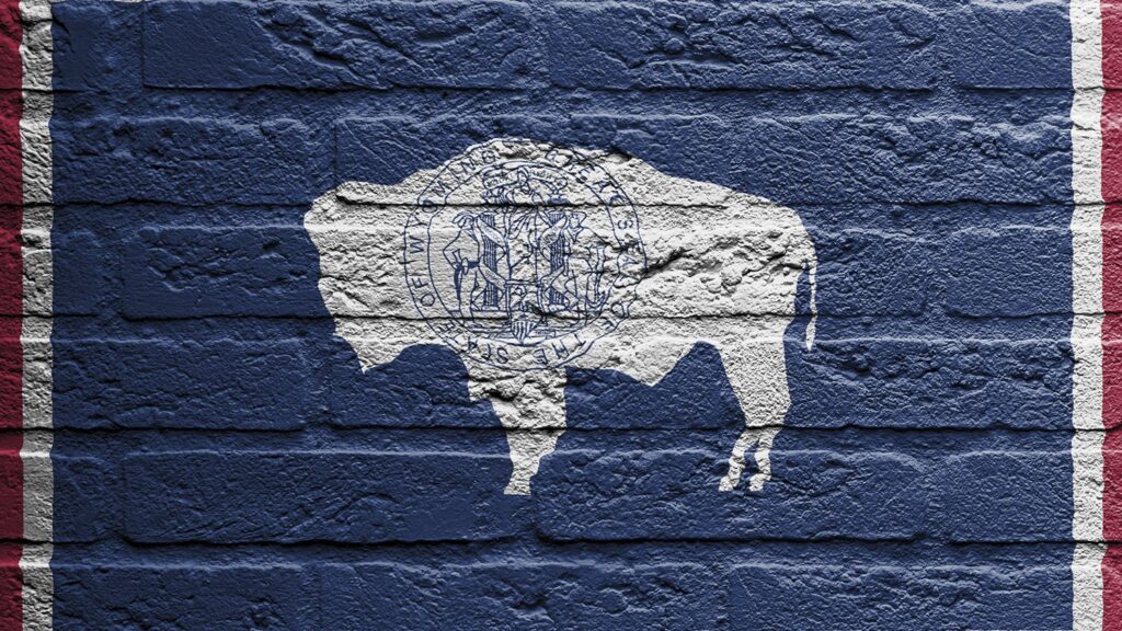 Wyoming: Pro-Gun Bills Advance to Senate Floor