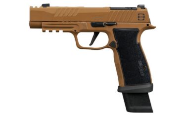 Sig Sauer P365 DH3: CADRE NEWS