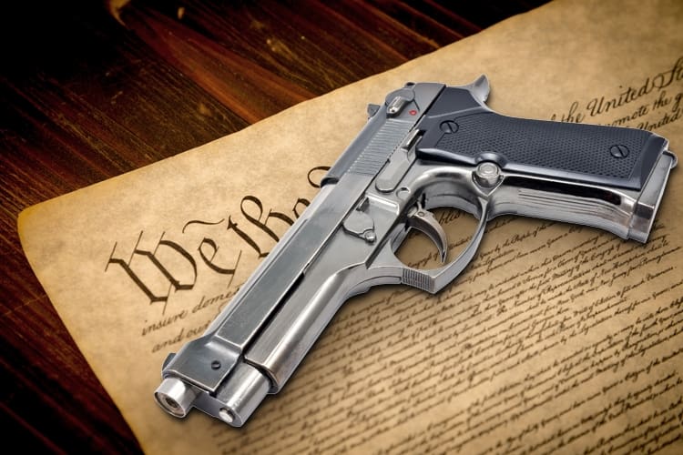 Michigan Republicans Introduce Bill To Become 30th Constitutional Carry State