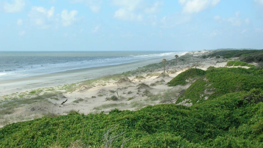 National Park Service Expands Volunteer Hunter Opportunities