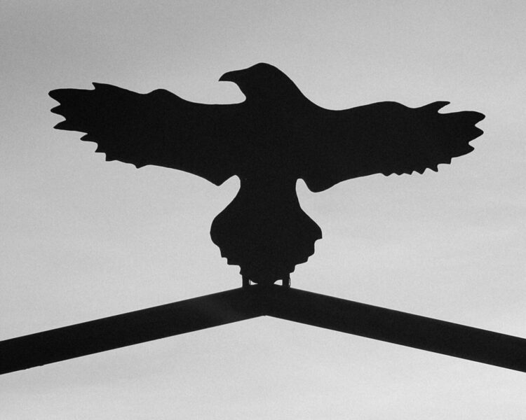 The Jeff Cooper Legacy Foundation Scholarship