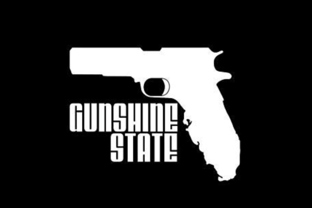 Florida Measure To Reinstate Gun Purchase Rights For Young Adults Hits Snag In Senate
