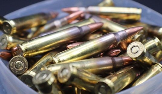 SWAT Team Used to Arrest Man Charged With Possessing 38 Rounds of Ammo Without a Permit