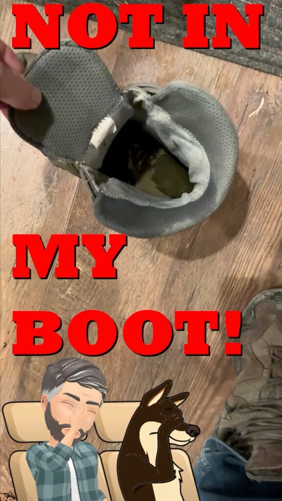 My Dog Peed the Boot