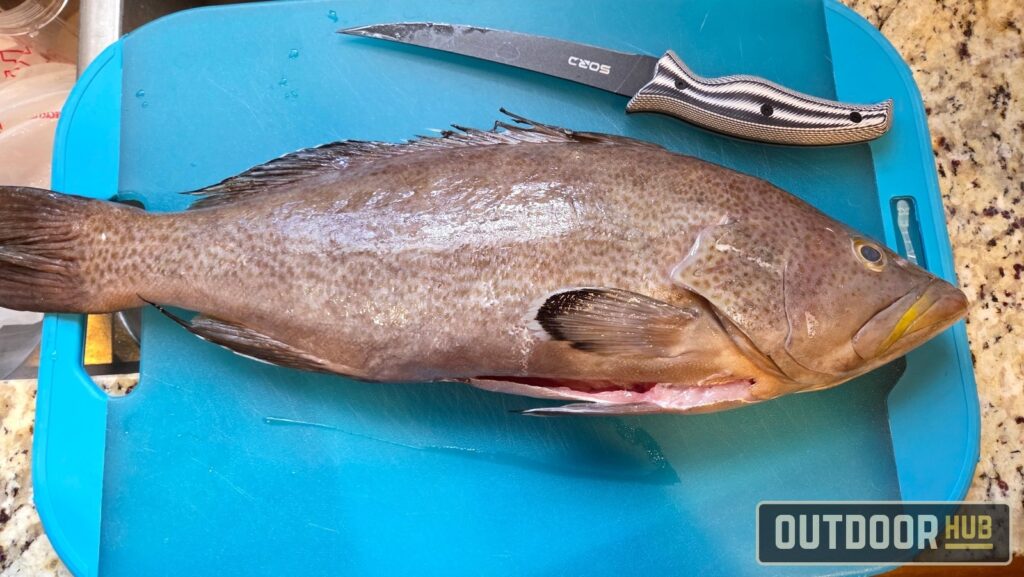 Don’t Forget the Fish Cheeks – One of the Tastiest Cuts of a Fish