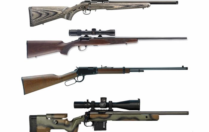 Best .22 Magnum Rifle: Buyer’s Guide [2025]
