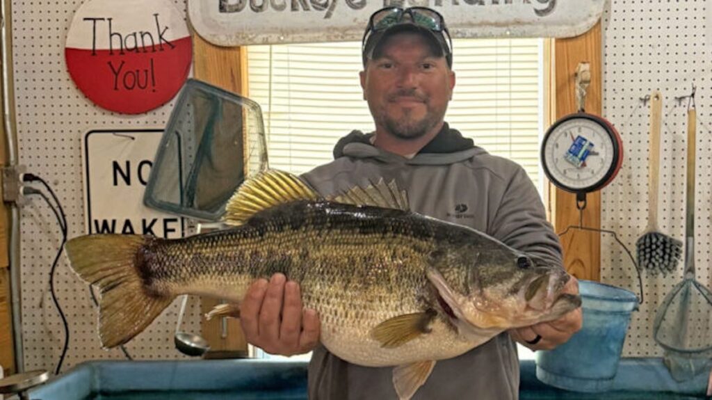 Toledo Bend Produces 12 Pound Lunker