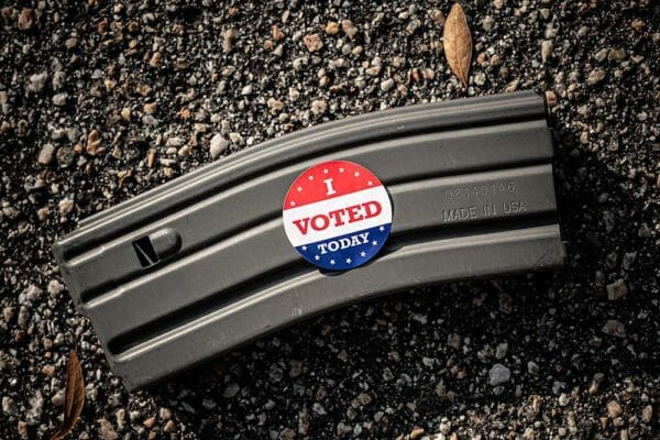 Gun Owners Had It in Their Power to Defeat Virginia Redistricting at the Polls