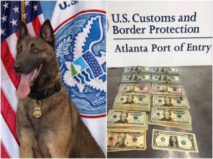 Police Dog ‘Pub’ Helps Seize $75,000 in Illicit Cash at Atlanta Airport