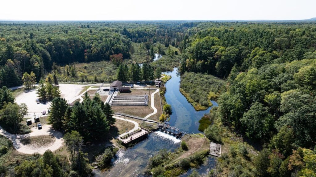 Storm kills 1,200 steelhead at Little Manistee River Weir