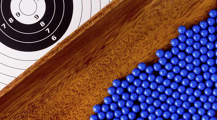 Running Out of Targets: New York Bills Go After Air, Pellet and BB Guns