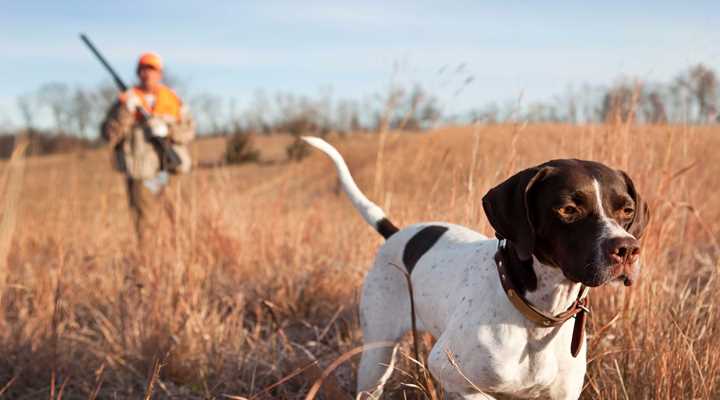 U.S. House Removes Anti-Hunting Language from Farm Bill