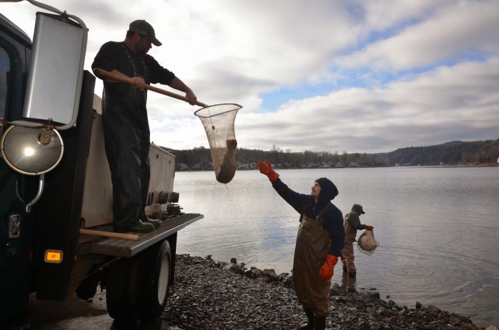 Connecticut stocking 600,000 Trout for Spring Fishing Season