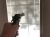 Gun-pointed-at-window-or-door-420x315-1